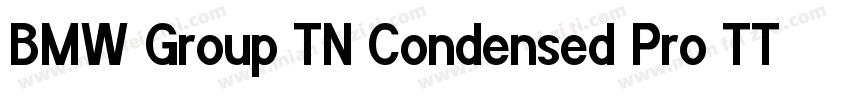 BMW Group TN Condensed Pro TT Bold字体转换